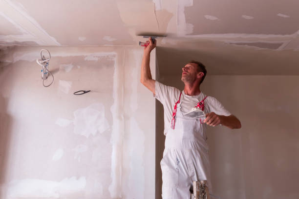 Best Repainting for Renovations  in USA